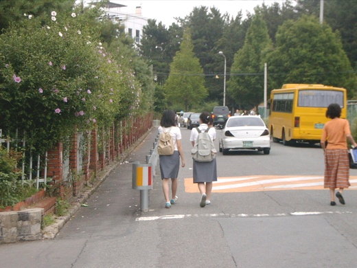 창원 용호동 아파트 단지와 고등학교 사이 도로에 설치된 가드레일(불법 주차 방지가 목적이지만 도로는 여전히 대형 차량 주차장으로 사용된다 